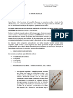 Músculos Texto PDF