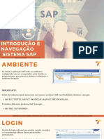 Sap Navegação 120421