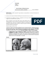 Guía de Trabajo 2 - Estimación Sexo - Luciano Cabello Méndez