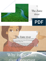 The Zaire River