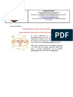 Clase 6. BIOLOGÍA Grado 8°. Periodo I. Ciclo Menstrual PDF