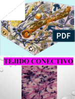 PRACTICA Tejido Conectivo 