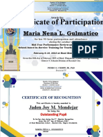 Certificate of Participation: Maria Nena L. Gulmatico