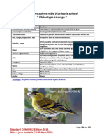 Tarindesaulnes PDF