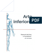 Arto Inferiore PDF