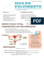 Psico Do Desenvolvimento: Início Ciclo Vital: Concepção Ou Fecundação