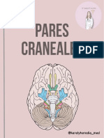 Pares Craneales Resumen PDF