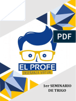 1er Seminario de Trigo: El Profe +51 994 128 288