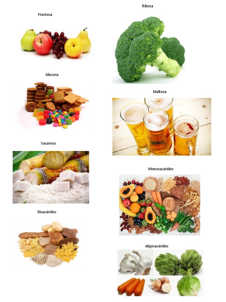 Alimentos que Contienen Ribosa | PDF