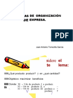 Problemas de Organización Empresa.: Juan Antonio Torrecilla García