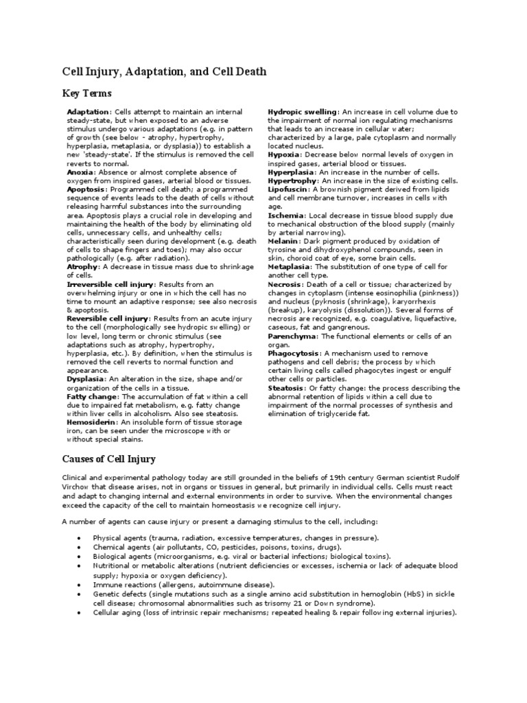 2 Cell Injury, Adaptation, and Cell Death | PDF | Necrosis | Apoptosis