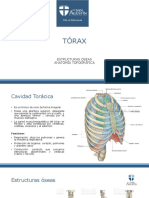 Clase N°5 Torax