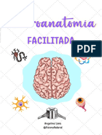 Neuroanatomia