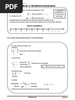 CUADERNILLO MATEMATICA 1°AÑO - E.E.S.N°126 (SIN LOGO) (2) Nat