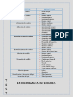 Test Muscular Ext Inferiores