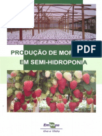 Produção de Morangos em Semi-Hidroponia