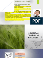 Clase 9 Biomoleculas Carbohidratos PDF