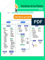 Biología Nutrición, Fotosíntesis, Respiración Academia Ipluton PDF