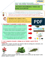 Clasificación de plantas del Perú según sus características