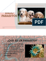 Endoparasitos PDF