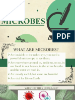 LAS 33 Microbes