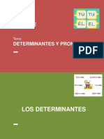 Determinantes y Pronombre PDF
