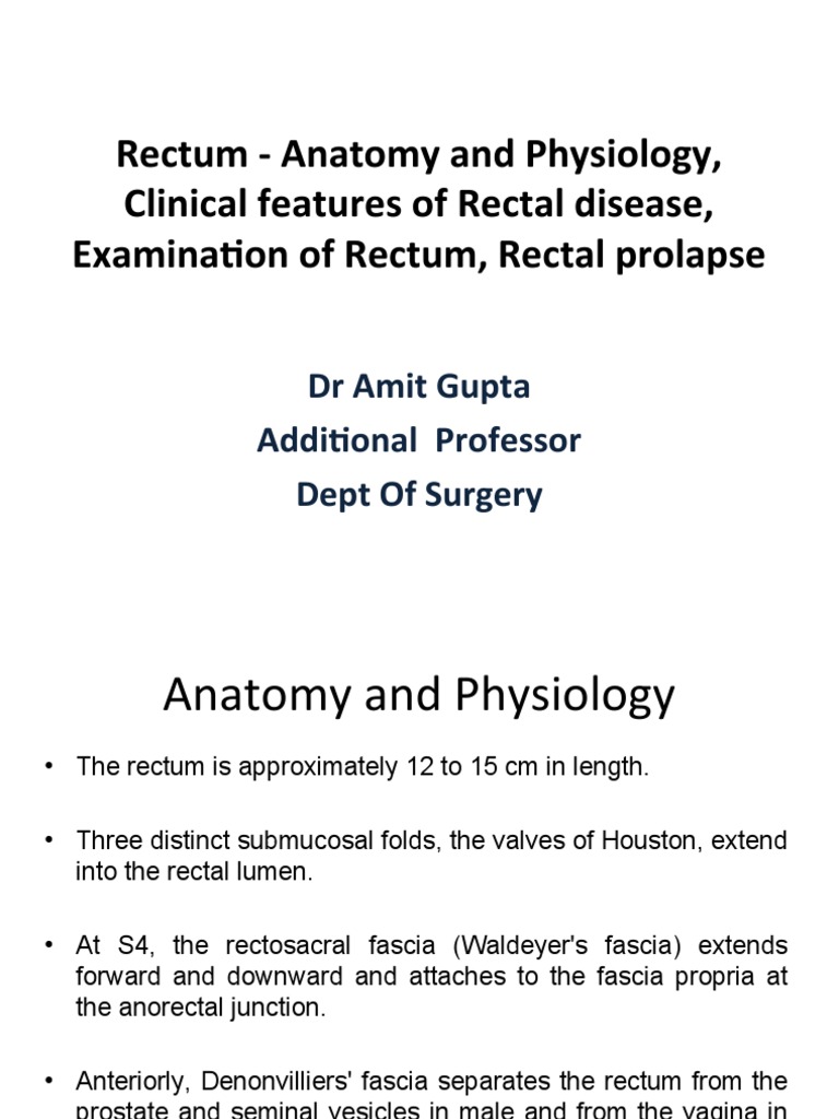 Anatomy and Management of Rectal Prolapse | PDF | Rectum | Hemorrhoid