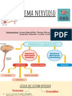Sistema Nervioso: Integrantes: Joana Espindola, Donna Sivori, Nair Martinez, Anabella Almada, Cecilia Verdini