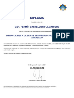 Diploma: D/D . Fermín Castellor Flamarique