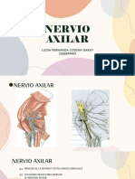Nervio Axilar PDF