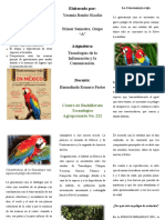 Guacamaya roja trip.docx