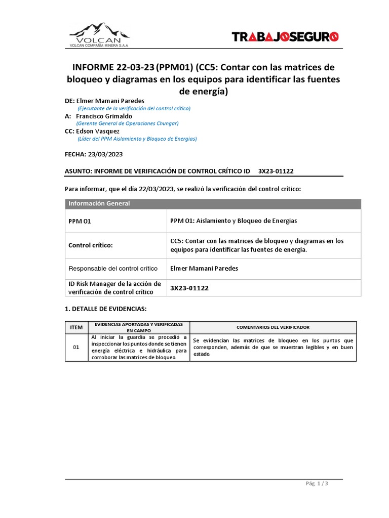 CHUNGAR VCC PPM 01 Elmer Mamani 22.03.23 PDF