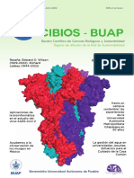 Revista Cibios3 PDF