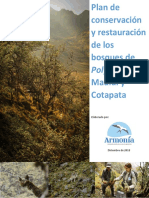 Polylepis Conservation Plan Madidi Cotapata