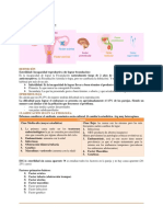 Esterilidad PDF