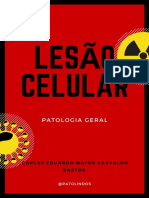 Lesão Celular Carlos Eduardo Matos Carvalho Bastos PDF