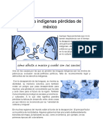 Lenguas Indígenas Pèrdidas de Mèxico: Cómo Ta Ic Al N U C A