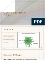 Casos de Virus Dna PDF