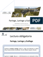 Clase 30 Faringe-Laringe-Esófago - DMOR0003
