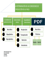 Criterios para La Determinación de Las Condiciones de Producción en La Finca