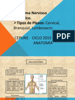 Plexos Raquideos Cepuns 2015iii