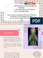 Universidad Autónoma Del Estado de Hidalgo Instituto de Ciencias en La Salud Lic. en Enfermería