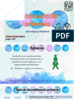 48.1 Incontinencia Urinaria PDF