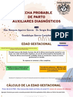 4931 GGC FPP - Auxiliares DX PDF