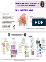MAPA - 20 - GRUPO 02-Cancer de Mama