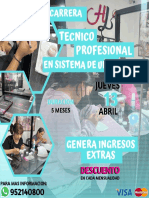 Tecnico Profesional: en Sistema de Uñas