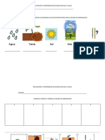 Exploración y Comprension Del Mundo Natural y Social Actividades Germinación