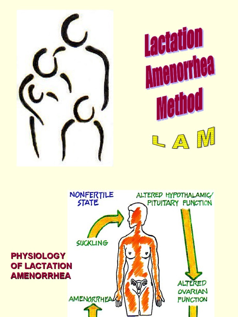 Lactational Amenorrhea Method Overview | PDF | Breastfeeding | Breast Milk