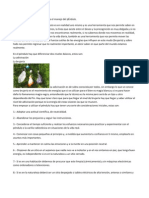 Manual Del PÉndulo