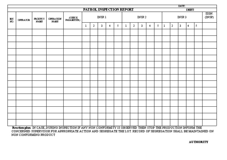 Patrol Inspection Report Summary | PDF